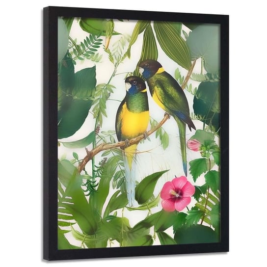 Plakat w ramie czarnej FEEBY Dwie papugi, 70x100 cm Feeby