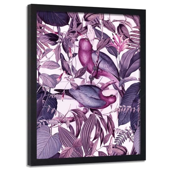 Plakat w ramie czarnej FEEBY Fioletowe papugi, 70x100 cm Feeby