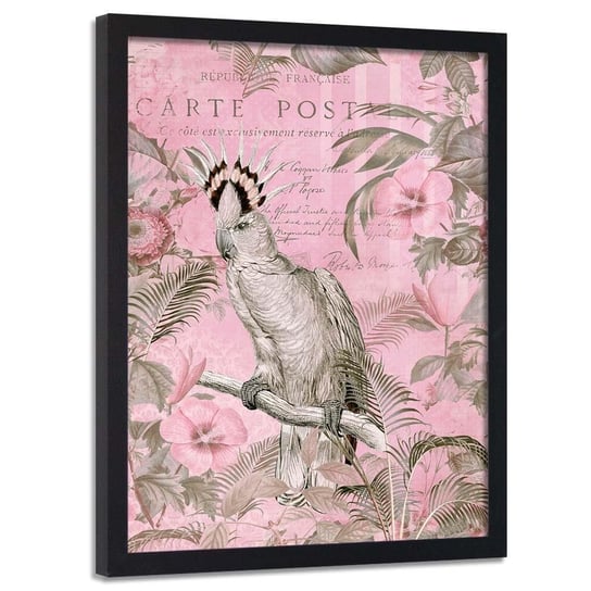 Plakat w ramie czarnej FEEBY Królowa papug, 40x60 cm Feeby