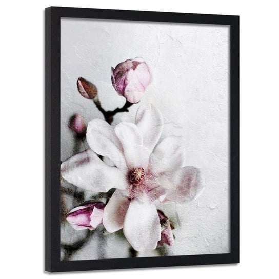 Plakat w ramie czarnej FEEBY Kwiat magnolii, 50x70 cm Feeby