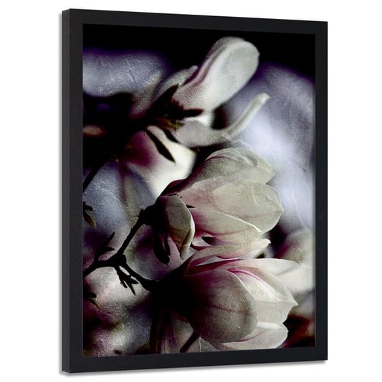 Plakat w ramie czarnej FEEBY Pączki magnolii, 40x60 cm Feeby