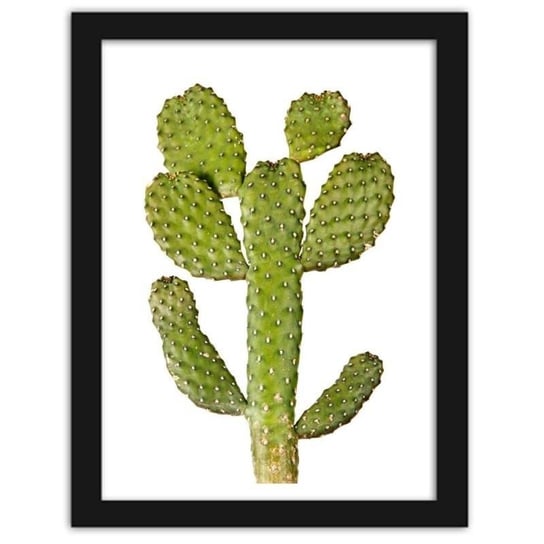 Plakat w ramie czarnej FEEBY, Zielony kaktus, 21x29,7 cm Feeby