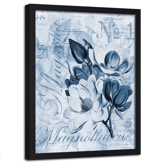 Plakat w ramie czarnej, Kwiat magnolii - 40x60 Feeby