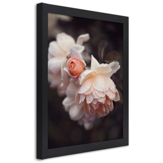 Plakat w ramie czarnej, Makro fotografia kwiatów 30x45 Feeby