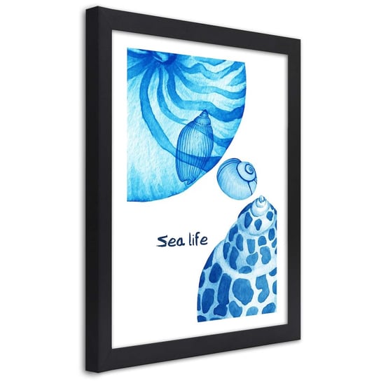 Plakat w ramie czarnej, Muszelki i napis Sea life 30x45 Feeby