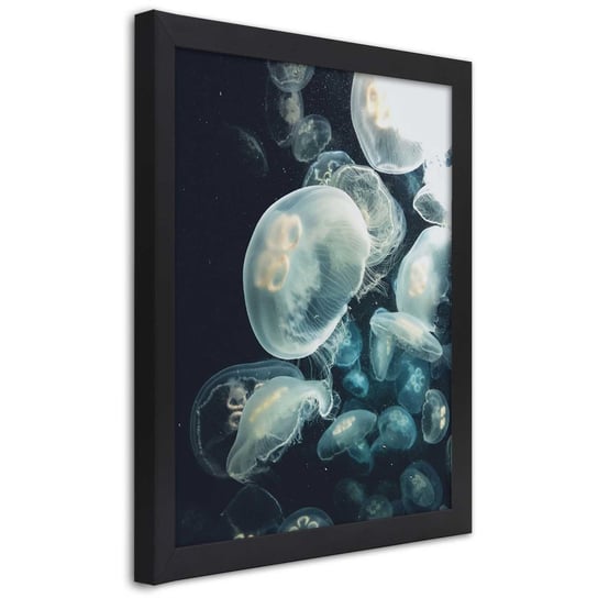 Plakat w ramie czarnej, Pływające meduzy 30x45 Feeby