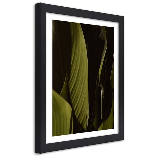 Plakat w ramie czarnej, Zielone liście tropików 30x45 Feeby