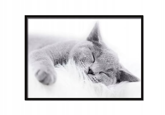 Plakat w ramie E-DRUK, 53x73 cm e-druk