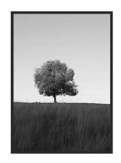 Plakat w ramie E-DRUK Drzewo, 53x73 cm e-druk