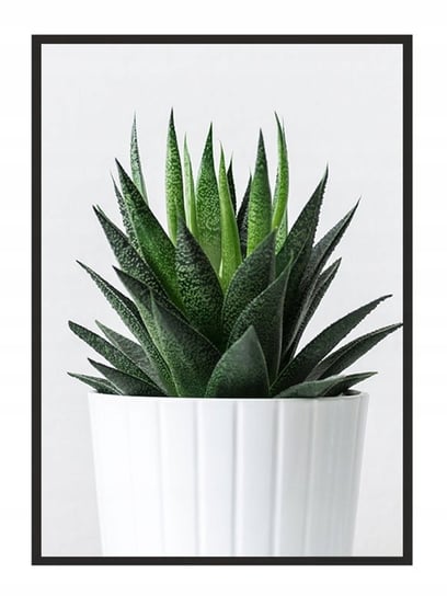 Plakat w ramie E-DRUK Kaktus, 33x43 cm e-druk