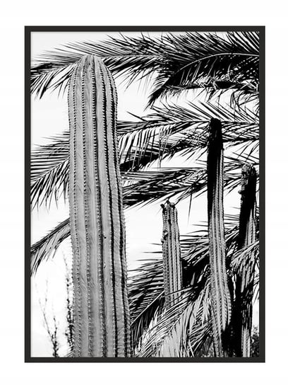Plakat w ramie E-DRUK Kaktusy, 43x33 cm e-druk