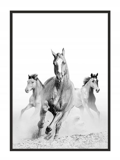 Plakat w ramie E-DRUK Konie, 33x43 cm e-druk