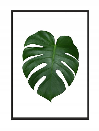 Plakat w ramie E-DRUK Liść 3, 43x33 cm e-druk