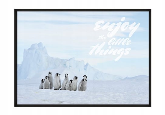 Plakat w ramie E-DRUK Pingwiny, 33x43 cm e-druk