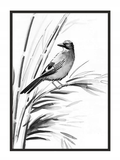 Plakat w ramie E-DRUK Ptak, 33x43 cm e-druk