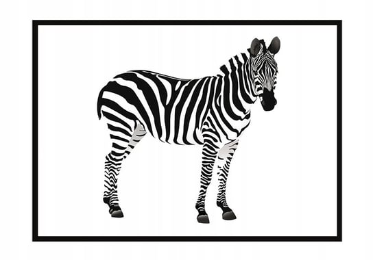 Plakat w ramie E-DRUK Zebra, 33x43 cm e-druk
