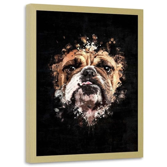 Plakat w ramie naturalnej FEEBY Buldog angielski, 50x70 cm Feeby