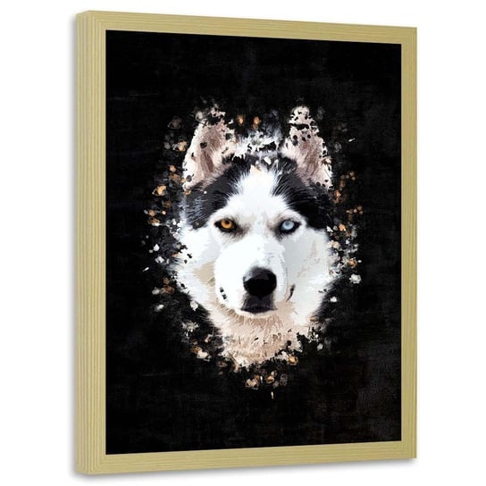 Plakat w ramie naturalnej FEEBY Husky syberyjski, 40x60 cm Feeby