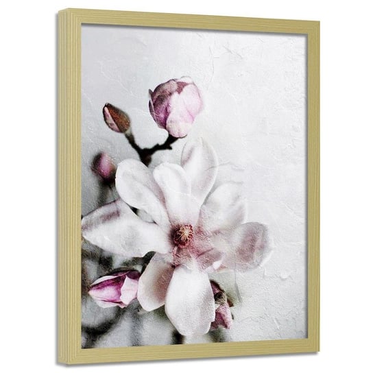 Plakat w ramie naturalnej FEEBY Kwiat magnolii, 50x70 cm Feeby