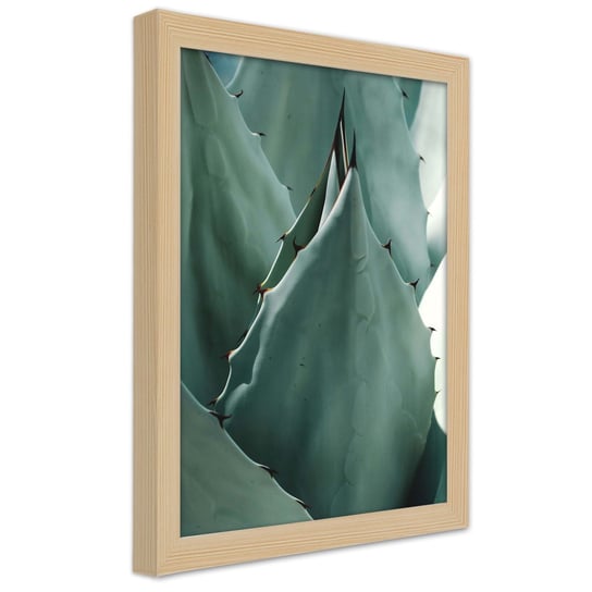 Plakat w ramie naturalnej, Liść kaktusa, zbliżenie na agawę 30x45 Feeby