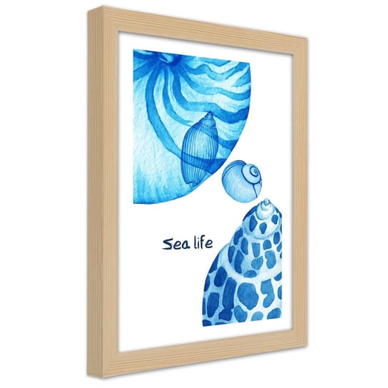 Plakat w ramie naturalnej, Muszelki i napis Sea life 30x45 Feeby