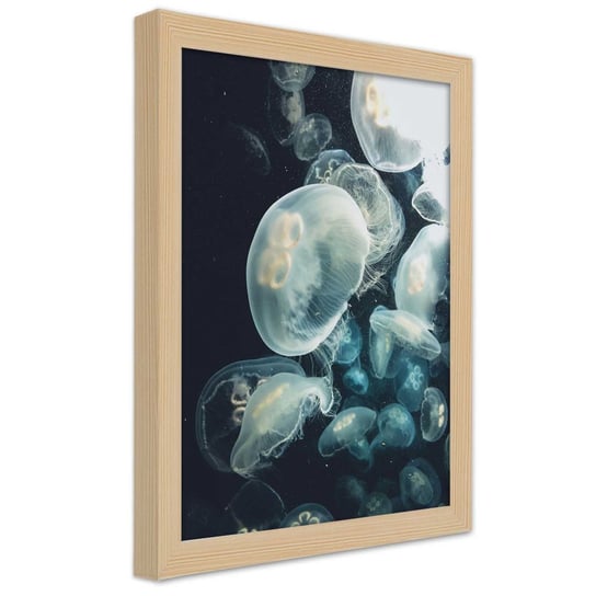 Plakat w ramie naturalnej, Pływające meduzy 30x45 Feeby