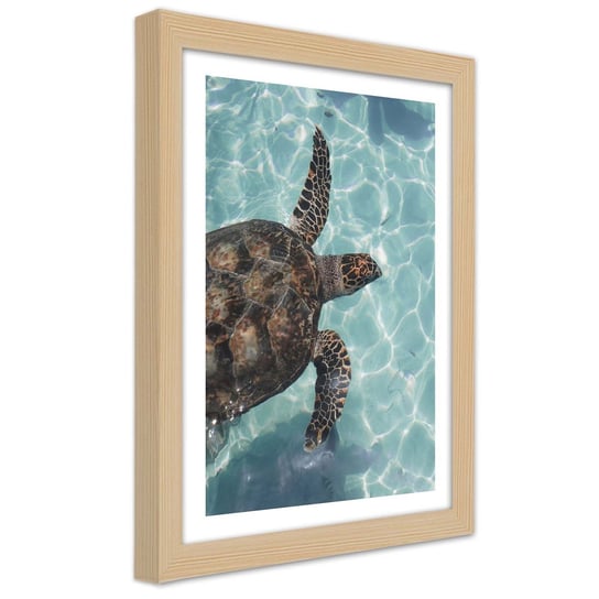 Plakat w ramie naturalnej, Żółw wodny w morzu 30x45 Feeby