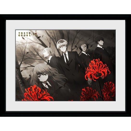 Plakat W Ramie Tokyo Ghoul: Re - Red Flowers 30 X 40 Cm GB eye