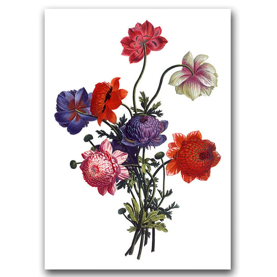 Plakat w stylu vintage Bukiet kwiatowy A3 Vintageposteria