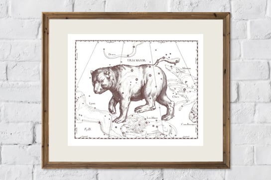 Plakat Wielka Niedźwiedzica Wielki Wóz, Gwiazdozbiór Wielkiej Niedźwiedzicy, Astronomia, 30x40 cm (A3) / DodoPrint Dodoprint