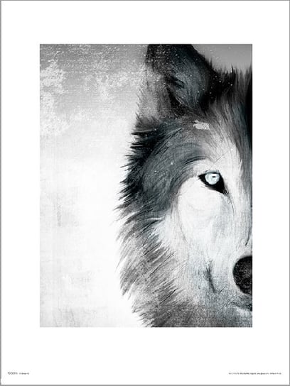 Plakat, Wolf Paint, 40x50 cm Inna marka