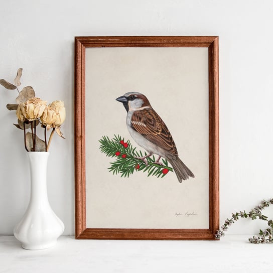 Plakat Wróbel na gałązce cisu 30x40 cm, Polskie ptaki, zwierzęta, autorska ilustracja, dekoracja, TukanMedia TukanMedia