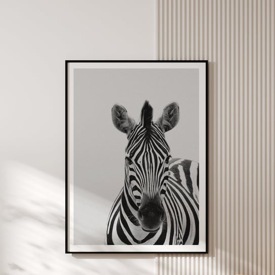 Plakat ZEBRA 30x40 cm MUYBIEN