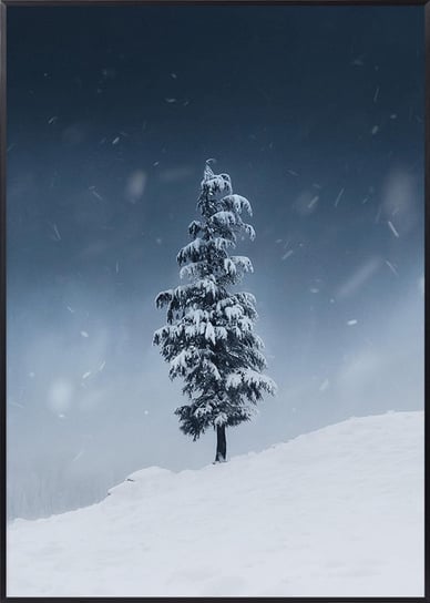 Plakat Zimowy Choinka na Wzgórzu - 21x30 cm (A4) Posteracademy