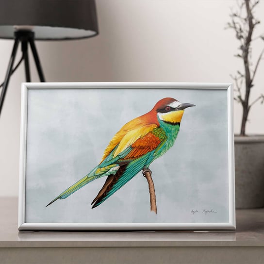 Plakat Żołna 21x30, kolorowe ptaki, ilustracja, dekoracja, kartka ptak TukanMedia