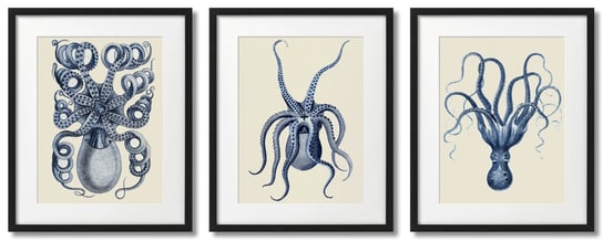 Plakaty Kraken, Niebieskie Vintage DEKORAMA