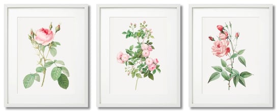 Plakaty W Stylu Shabby Chic - Romantyczne Róże DEKORAMA