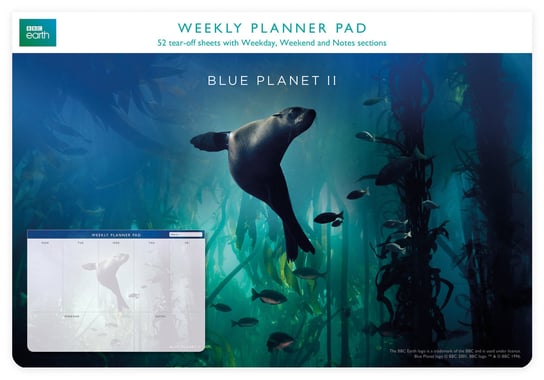 Planer tygodniowy, Galapagos Sea Lion, niebieski Museums & Galleries