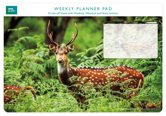Planer tygodniowy, jeleń, zielono-brązowy Museums & Galleries