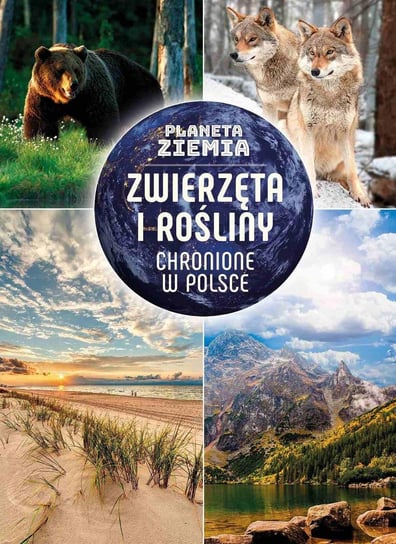 Planeta Ziemia. Zwierzęta i rośliny chronione w Polsce Matoga Karolina