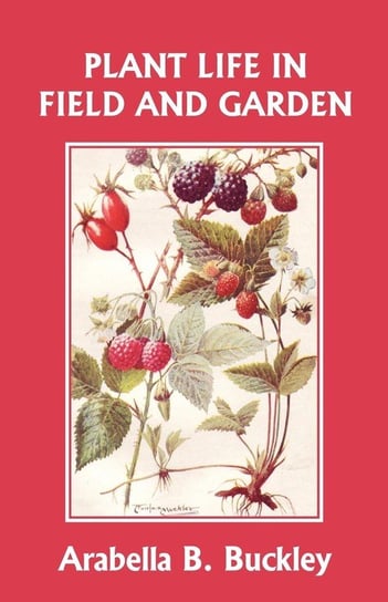 Plant Life in Field and Garden (Yesterday's Classics) Buckley Arabella