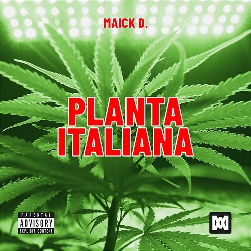 Planta Italiana Maick D.