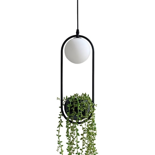 Plantar P  - czarna lampa wisząca z rośliną 1400 mm Iluminar