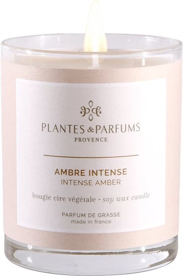 Plantes&Parfums Provence, Świeca zapachowa perfumowana Drogocenna Ambra PLANTES&PARFUMS PROVENCE