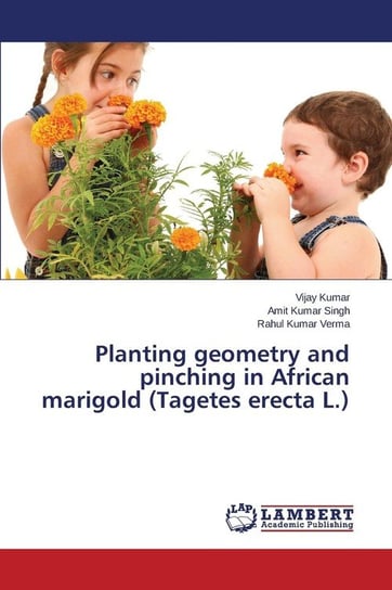 Planting Geometry and Pinching in African Marigold (Tagetes Erecta L.) Kumar Vijay