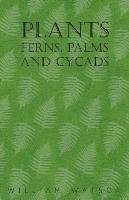 Plants - Ferns, Palms and Cycads Watson William