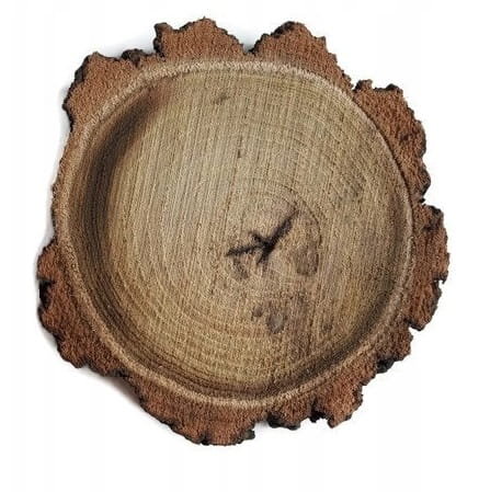 Plaster drewna Akacja nieszlifowana 6-14 cm / 1 cm z ubytkami kory, z pęknięciem AkademiaDrewna