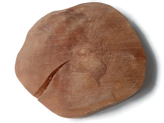 Plaster drewna Brzoza bez kory OLEJOWANA szlifowana 45-50 cm z pęknięciem AkademiaDrewna
