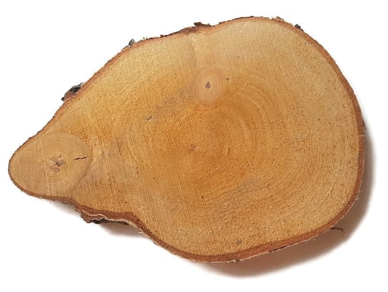 Plaster drewna Brzoza nieszlifowana 20-25cm / 2 cm Nieregularne kształty AkademiaDrewna