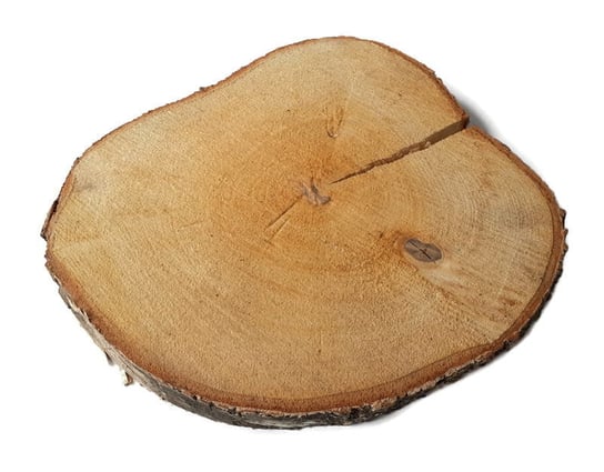 Plaster drewna Brzoza nieszlifowana 25-28 cm / 2,5 cm z pęknięciem AkademiaDrewna